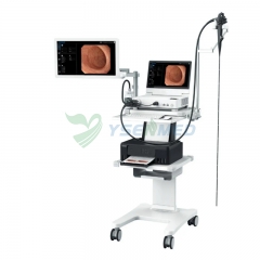 Sistema de endoscopia digestiva YSNJ-HP1315