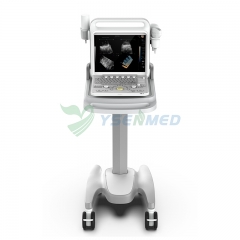 Color Doppler Ultrasound Diagnostic System YSB-DU20