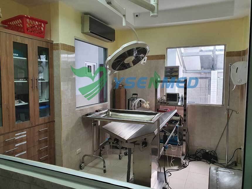 A Honduran pet clinic is full-equipped with YSENMED veterinary supplies