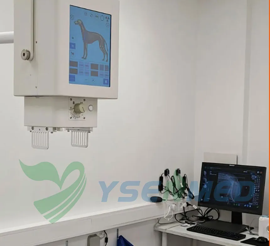 YSX056-PE VET portable DR system set up in a vet clinic in Norway