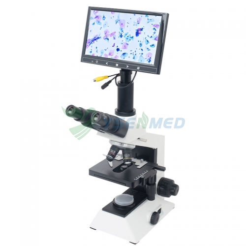 Microscopio binocular óptico de laboratorio YSXWJ-BX301B con pantalla de visualización