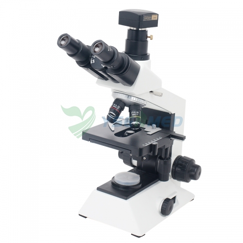 Microscope binoculaire optique de laboratoire YSXWJ-BX301C avec écran d'affichage