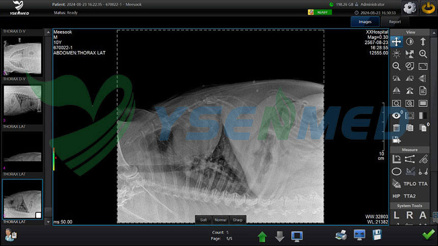 Thai vet clinic upgrades its analog x-ray with YSENMED YSPFD-M1717V VET wireless flat panel detector