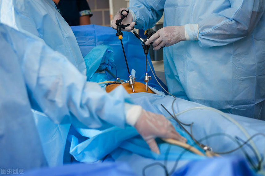 An In-Depth Analysis of the Flexible Endoscope's Structure