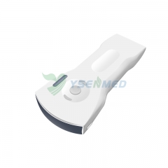 Sonde à ultrasons multifonctionnelle YSB-C10XS 3 en 1 à double sonde