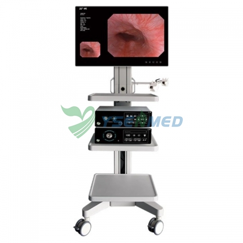Electronic Flexible Endoscope System YSVME-400A