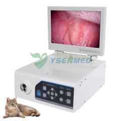 YSNJ-100VET-P Endoscope vidéo intégré médical de 3,3 m pour animaux de compagnie en médecine vétérinaire