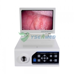 YSNJ-100VET-P Endoscope vidéo intégré médical de 3,3 m pour animaux de compagnie en médecine vétérinaire