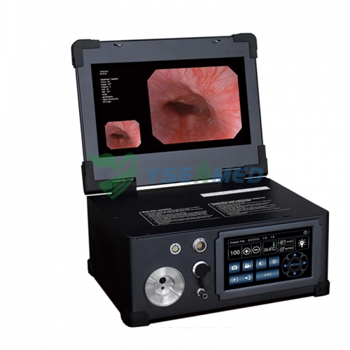 Portable 13.3-inch Electronic Gastroscopy and Colonoscopy Integrated System YSNJ-HD133