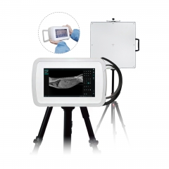 YSENMED 450W Veterinary Mini Handheld Digital X-ray Machine YSX-P905 VET