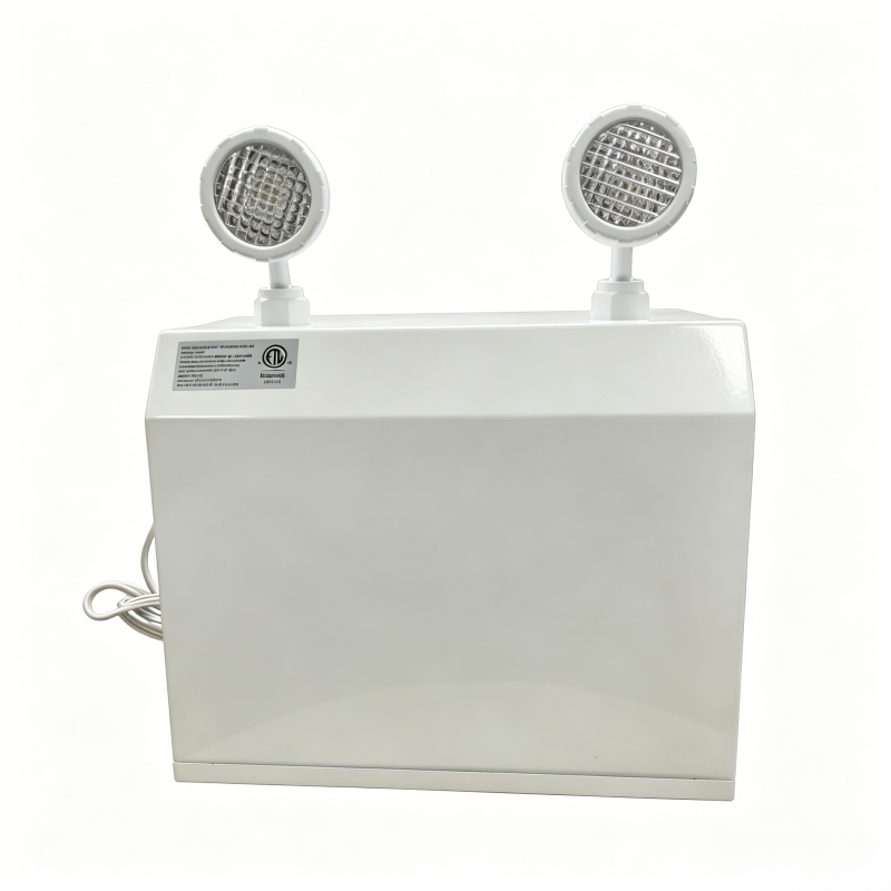 LH-06 36W 12V Steel Emergency Battery Unit | ETL Certified Dual LED Emergency Power Supply For Damp Locations