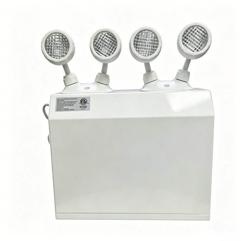 LH-06 36W 12V Steel Emergency Battery Unit | ETL Certified Dual LED Emergency Power Supply For Damp Locations