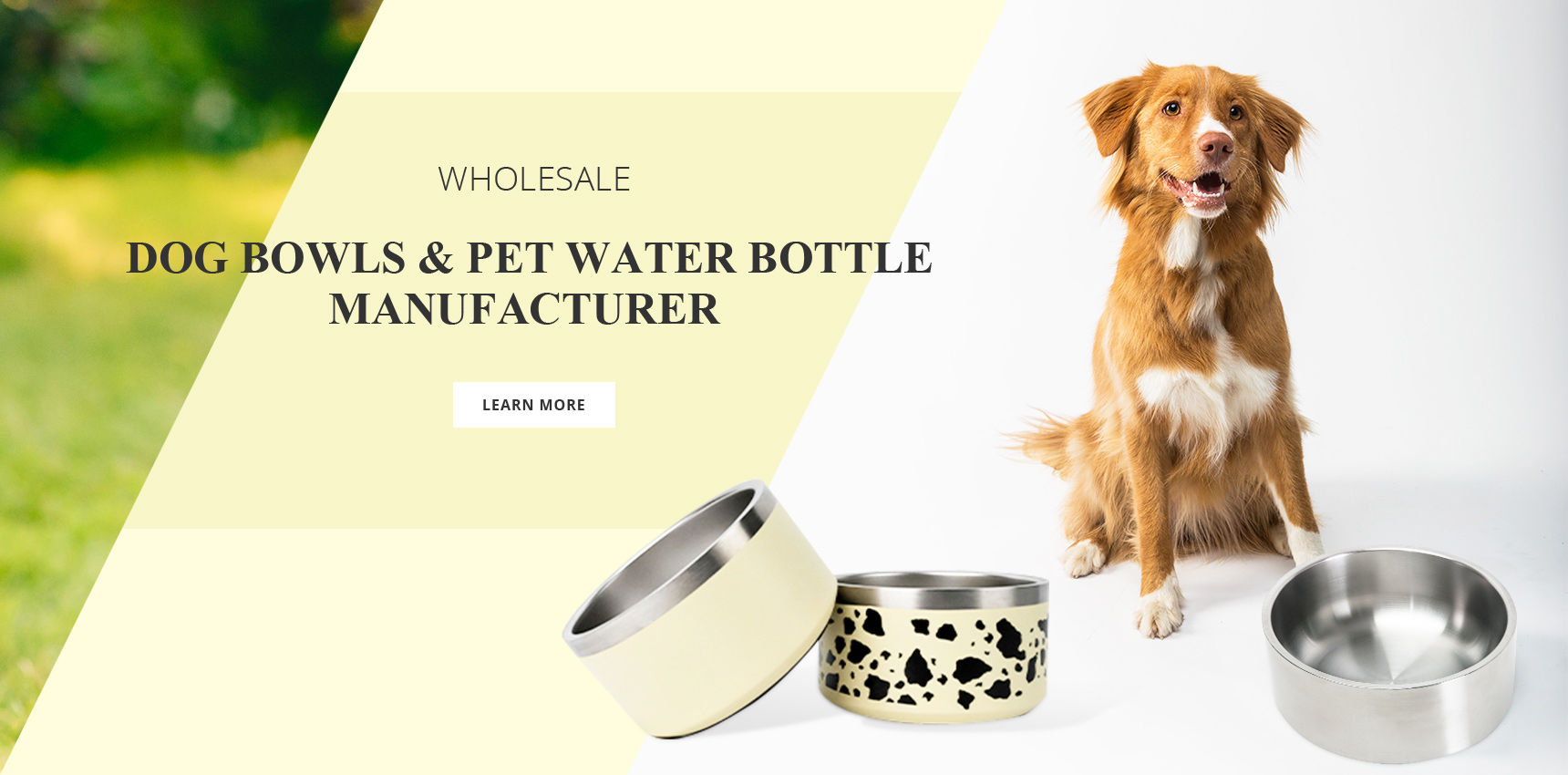 Stainless Steel Food and Water Dog Bowl