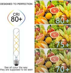 6W T10 E26 LED Vintage Light Bulb