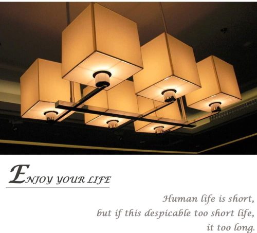 6W T10 E26 LED Vintage light Bulb