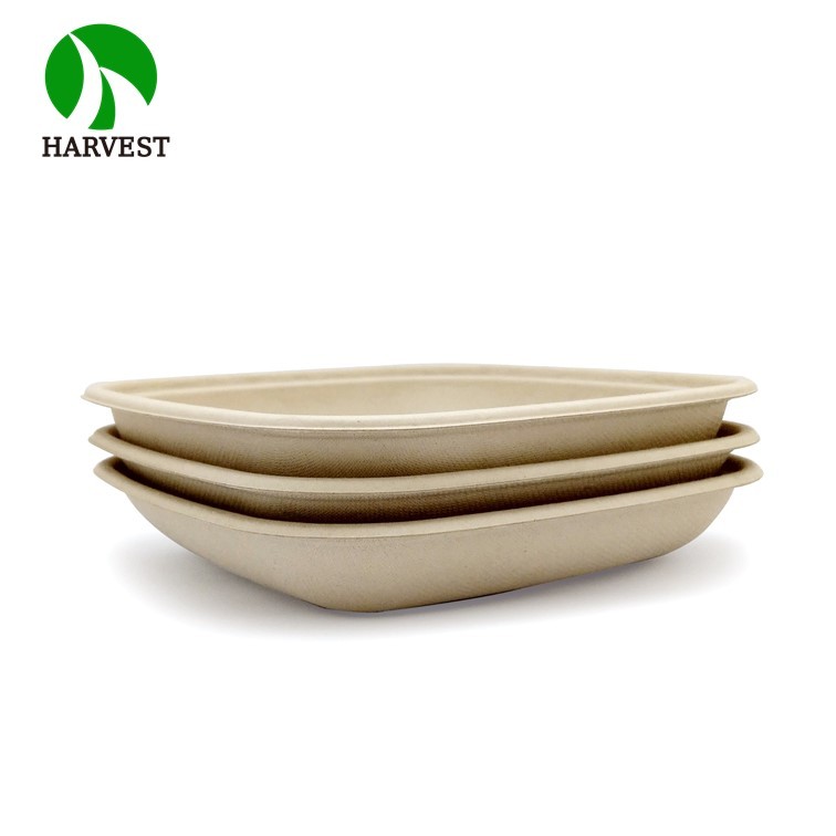 Medium 8.5x8.5 Square Salad Container