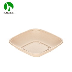 Medium 8.5x8.5 Square Salad Container