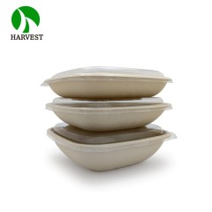 Medium 8.5x8.5 Square Salad Container