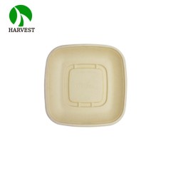 Small 8.5x8.5 Square Salad Container