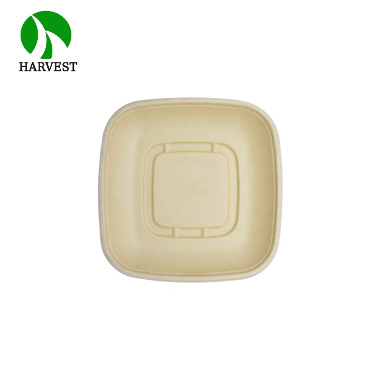 Small 8.5x8.5 Square Salad Container
