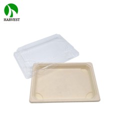 EG-1.0 Medium Bio Sushi Tray