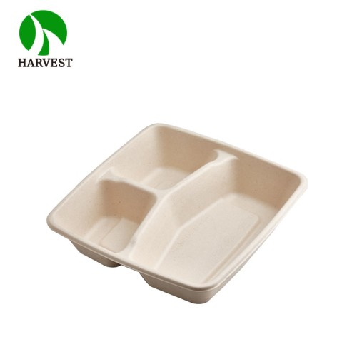 9x9 3-Compartment Square Takeaway Container