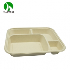 4-Compartment Takeaway Lunch Bento Box