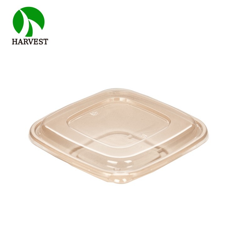 Medium 8.5x8.5 Square Salad Container