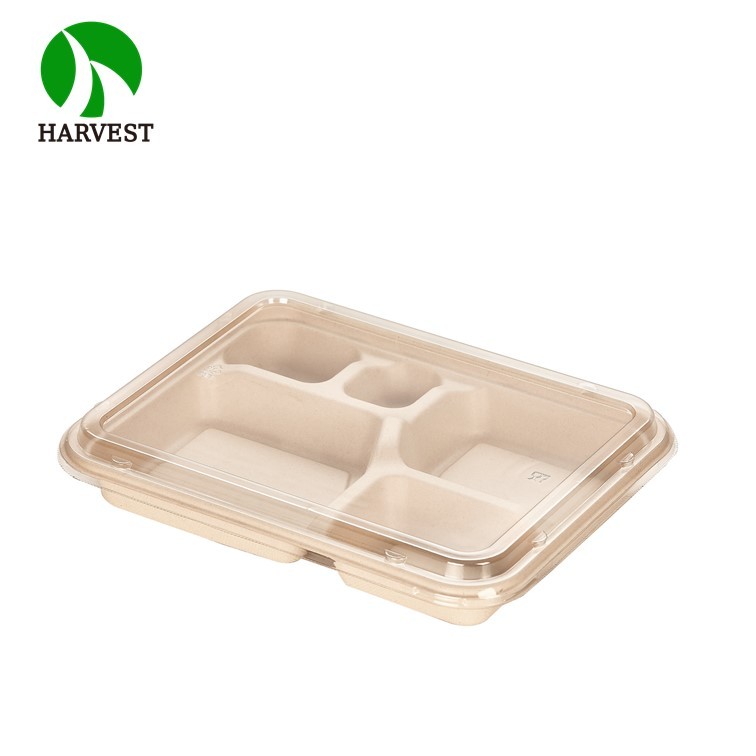 5-Compartment Takeaway Lunch Bento Box