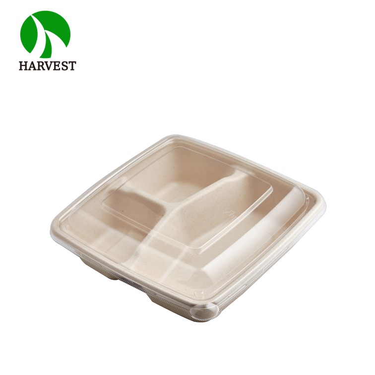 3 compartment biodegradable takeaway food box with lid - Buy