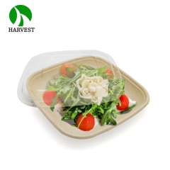 Small 8.5x8.5 Square Salad Container