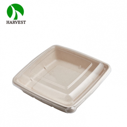 1000ML Square Plastic Container with Lids