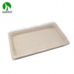 EG-2.0 Large Bio Sushi Tray