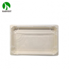 EG-1.5 Large Bio Sushi Tray