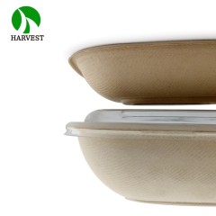 Small 8.5x8.5 Square Salad Container
