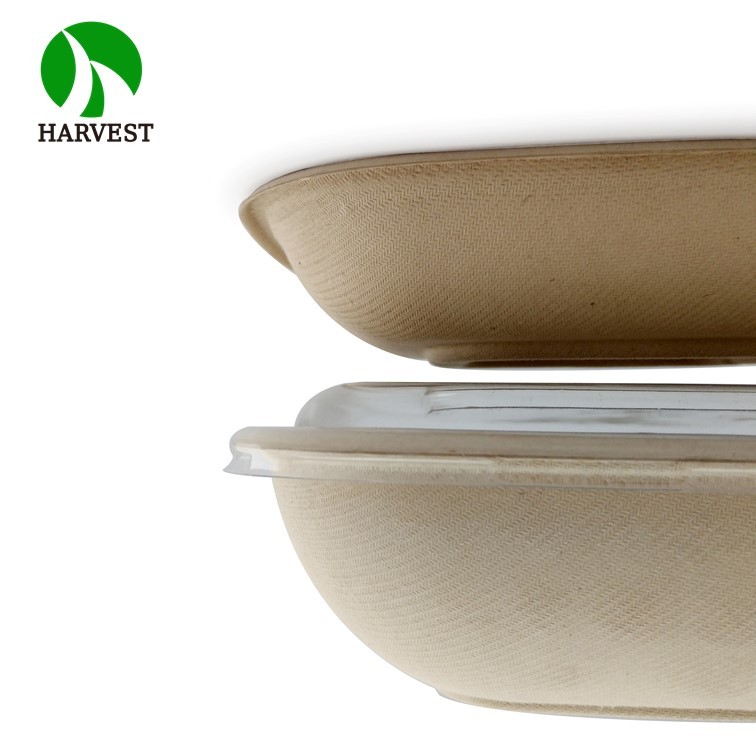 Small 8.5x8.5 Square Salad Container