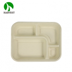 4-Compartment Takeaway Lunch Bento Box