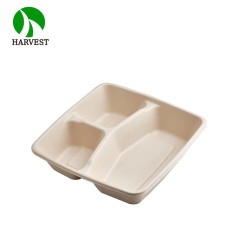 8x8 3-Compartment Square Takeaway Container