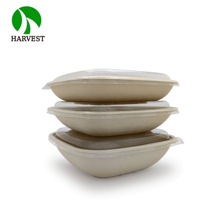 Small 8.5x8.5 Square Salad Container