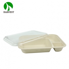 4-Compartment Takeaway Lunch Bento Box