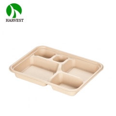 5-Compartment Takeaway Lunch Bento Box