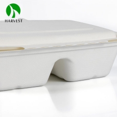 White Pulp 2 Compartments Rectangular Clamshell Food Container