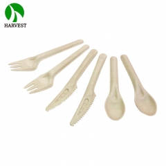 S01 Sustainable Bagasse Plant-based Spoon