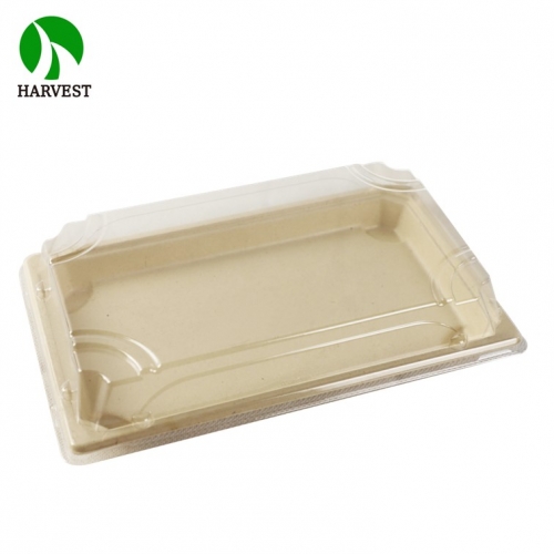 BP-07 Large Bio Sushi Tray with Coating