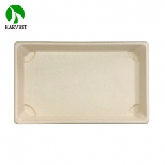 BP-09 Large Bio Sushi Tray with Coating