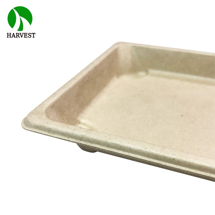 BP-09 Large Bio Sushi Tray with Coating