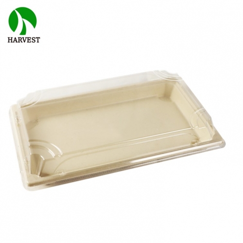 BP-09 Large Bio Sushi Tray with Coating