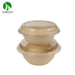 550ml 6 inch Donburi Poke Bowl