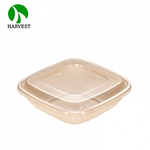 Large 8.5x8.5 Square Salad Container