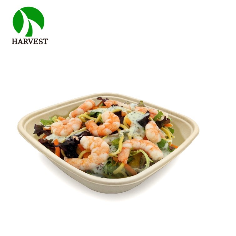 Large 8.5x8.5 Square Salad Container
